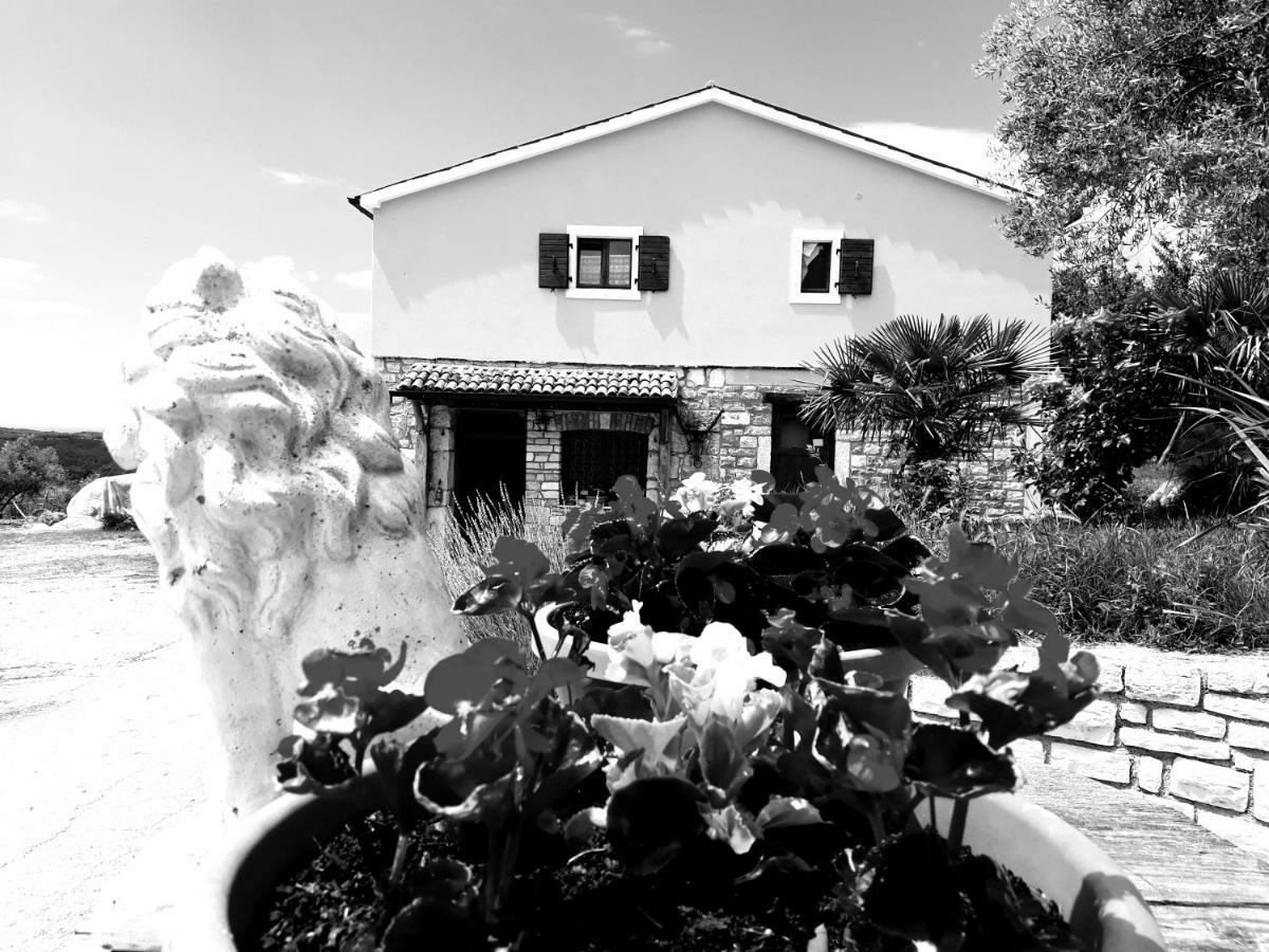 Rooms Agroturizam Romano Buje Kültér fotó